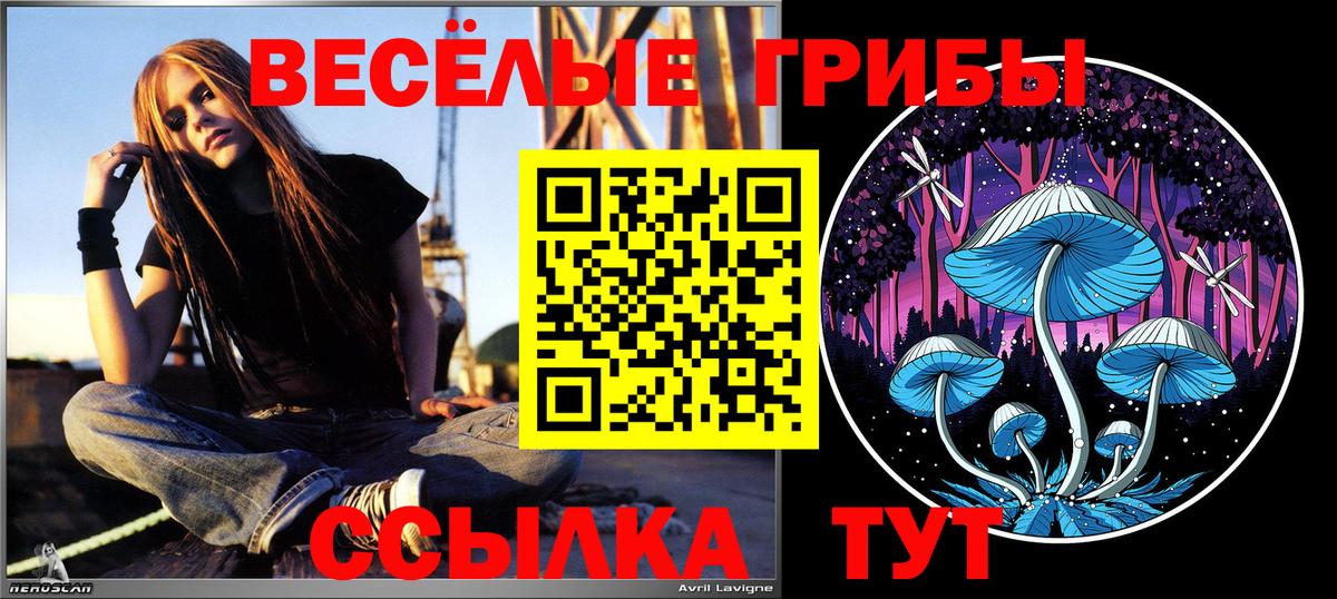 где найти   Псилоцибиновые грибы прущие грибы  Вход с VPN  Галлюциногенные грибы MAGIC MUSHROOMS  Лыткарино 