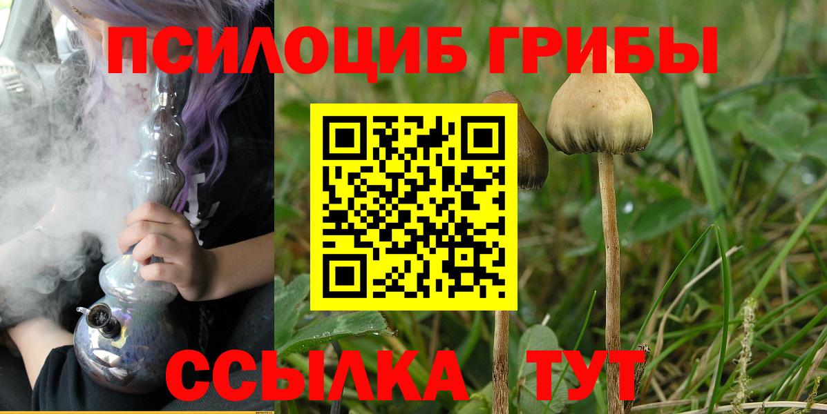 Галлюциногенные грибы Cubensis Лыткарино